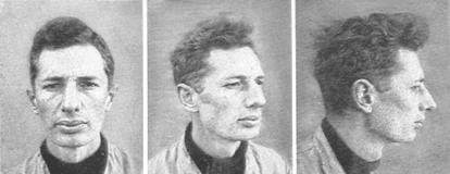 4200620 Dinaric Race