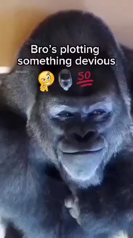 1728923350842