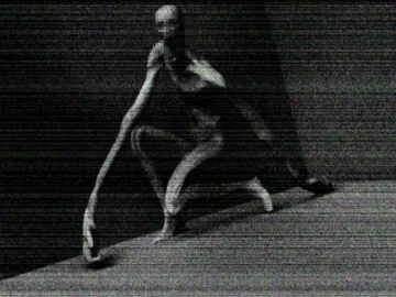 1729023594367