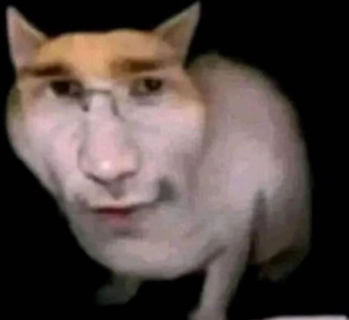 IMG 0547