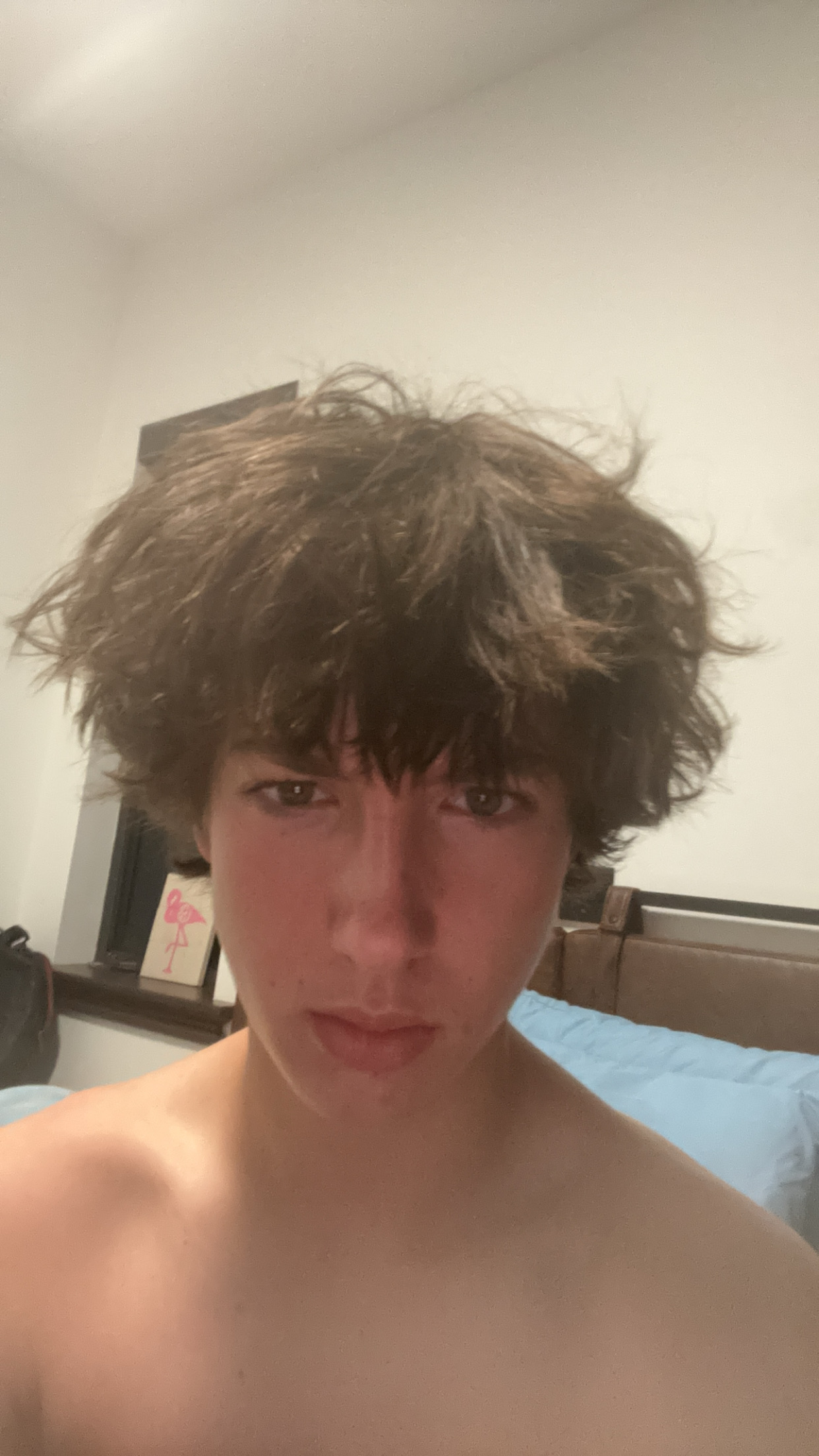 IMG 1201