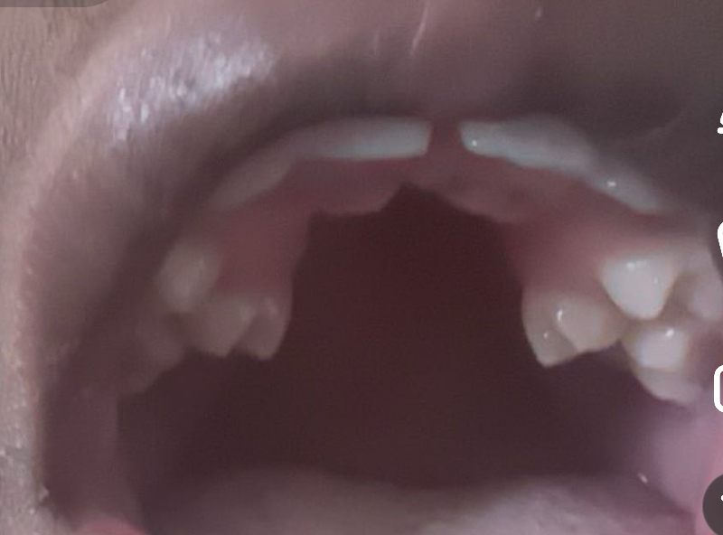 IMG 6817 IMG 6817