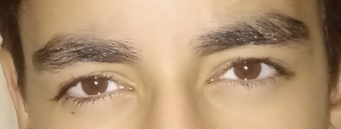IMG 20241018 1746182