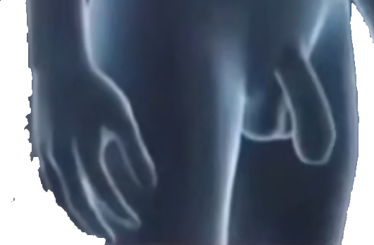1000010481