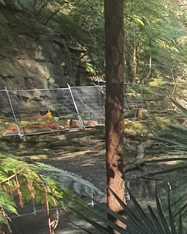 Screenshot 2024 10 18 at 94749 PM