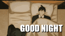 Anime good night