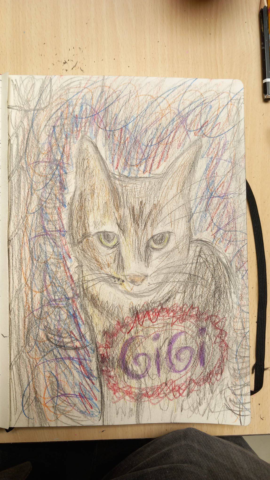 449159977 492780326740421 5198667623029696875 n