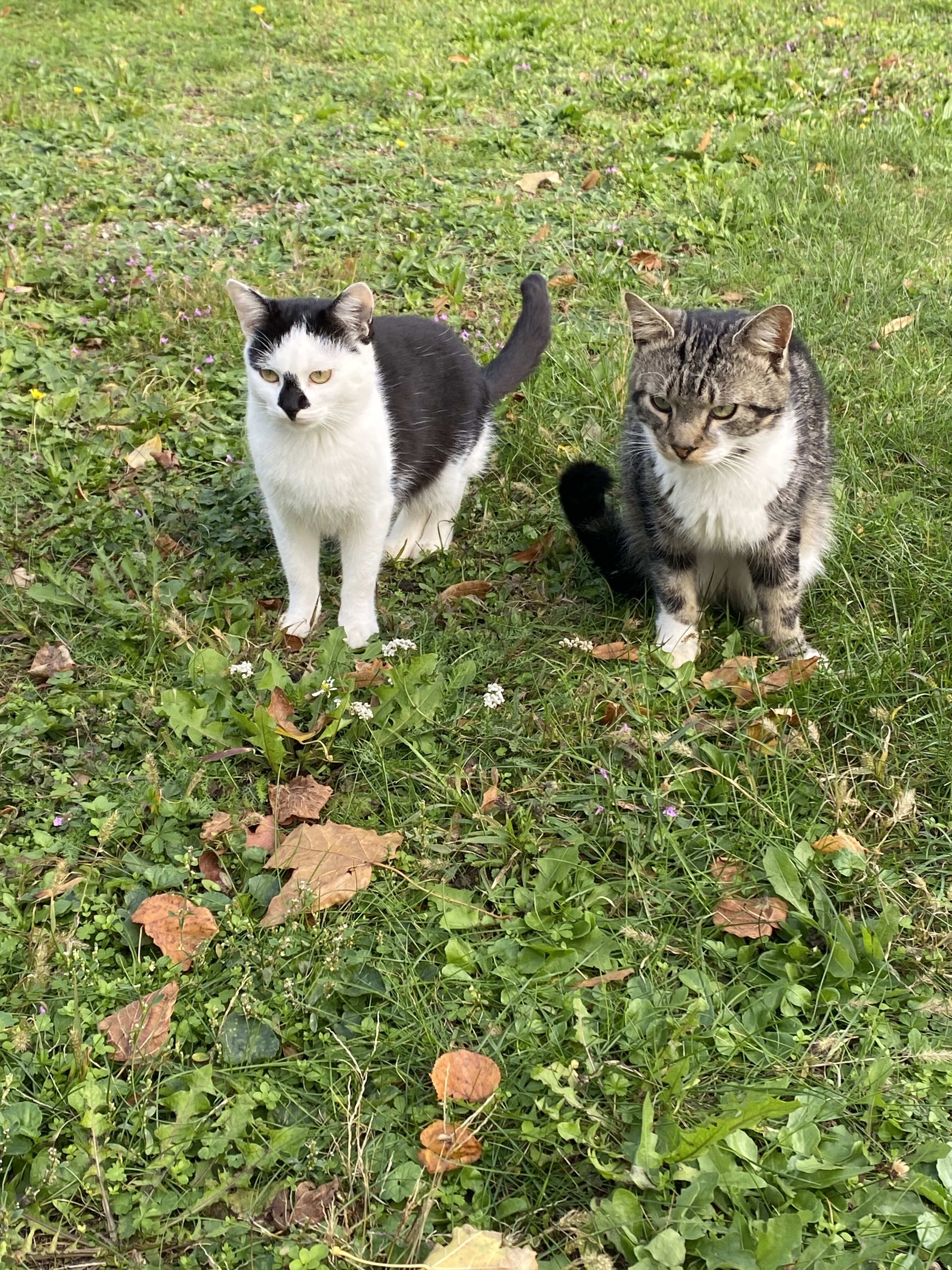 32B28C7F CADA 4C10 A84F 128B7D65C388