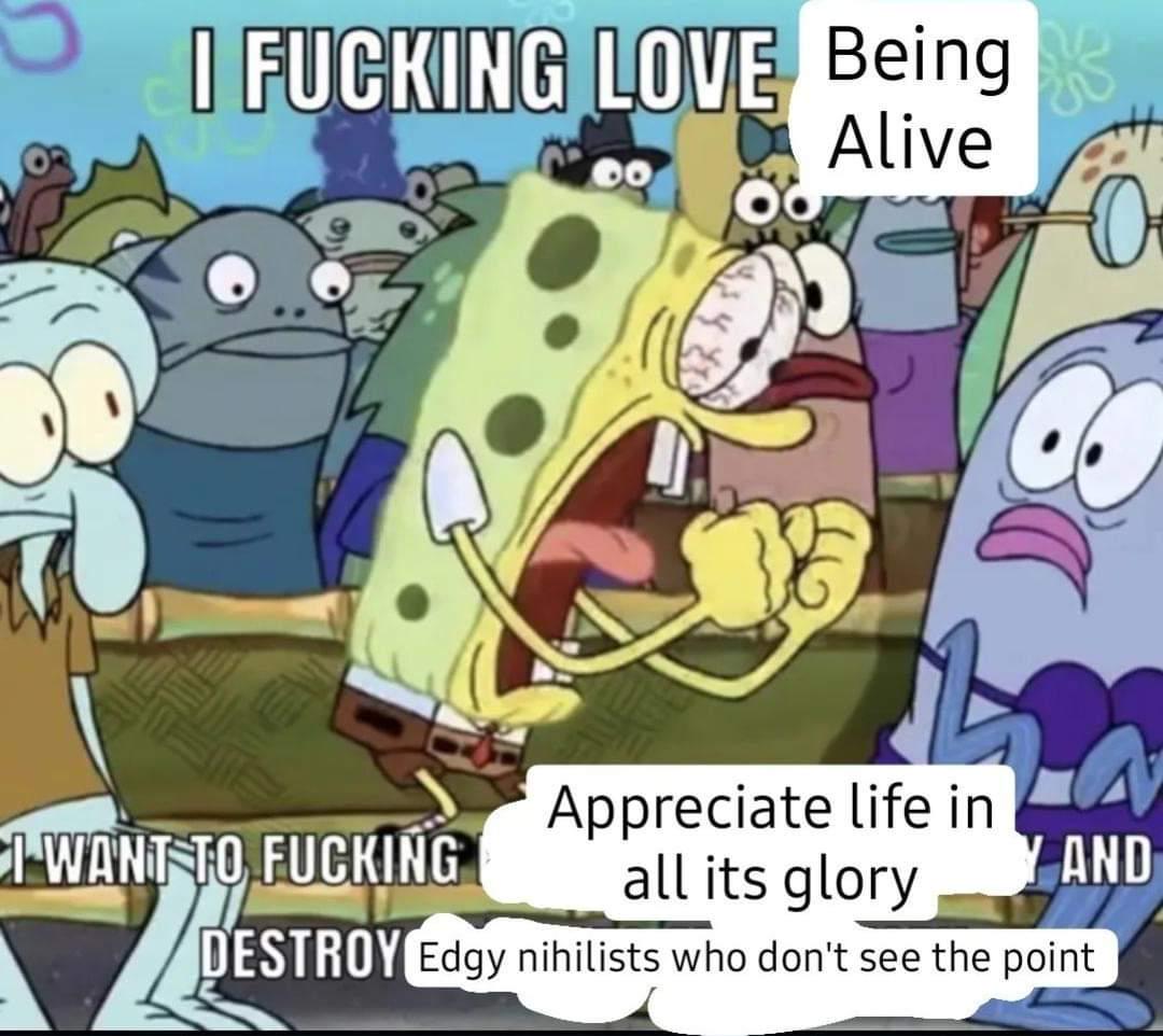1000004256