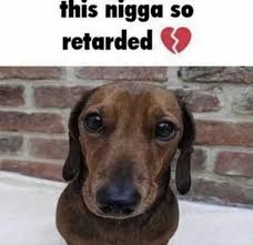 fw carti but that fanbase been so ...