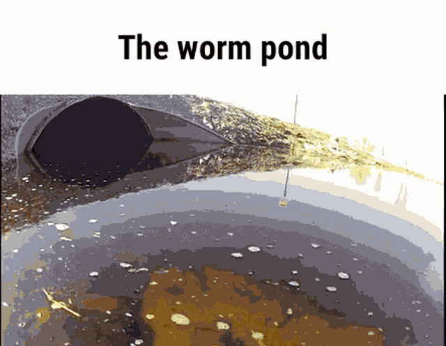 Worm pond
