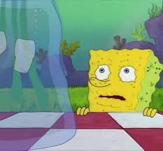 IMG 1214