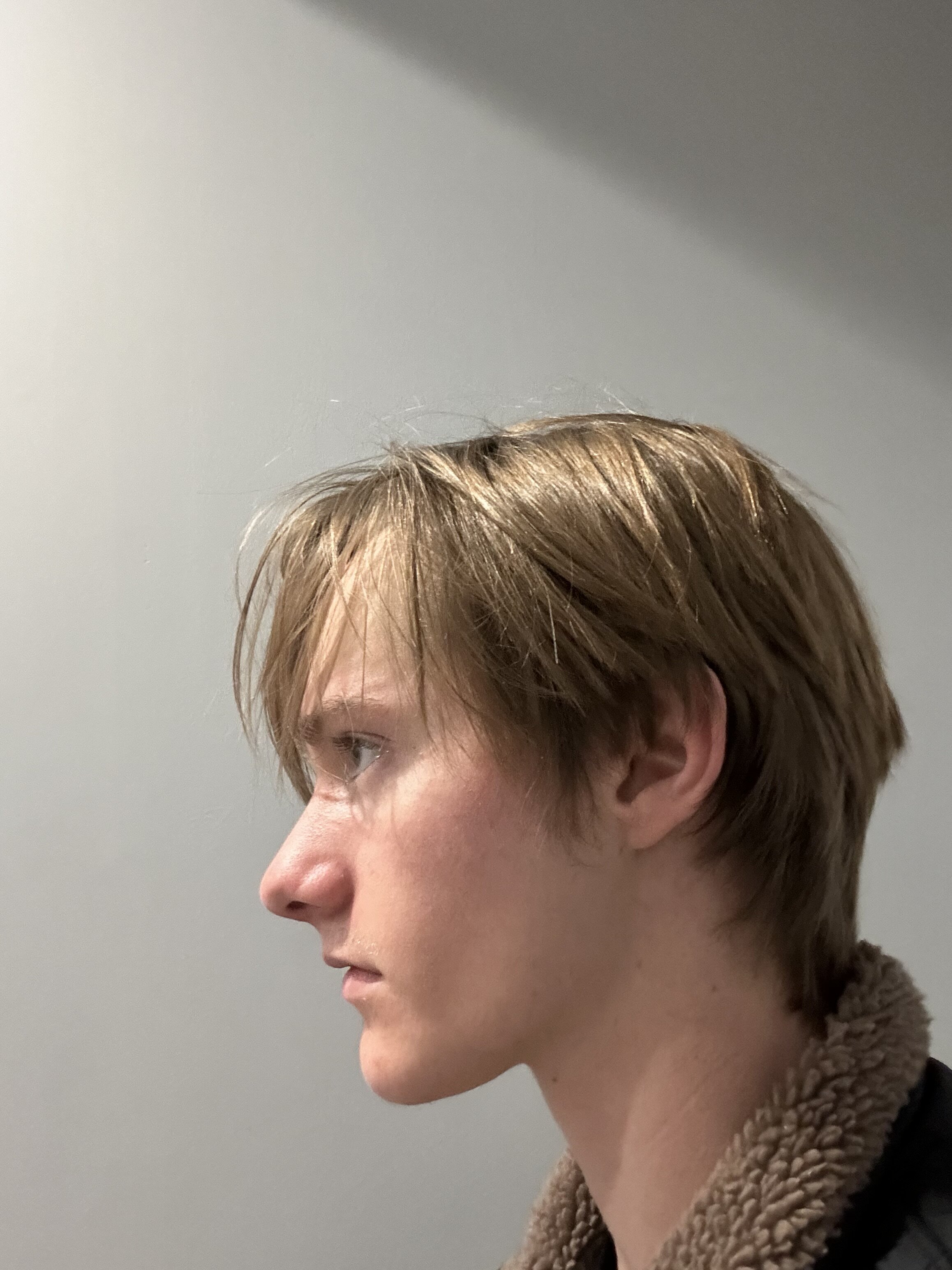 IMG 0779