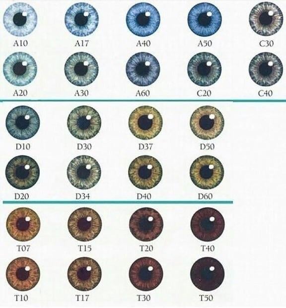 What shade of blue are my eyes on this eye color chart v0 av1rnm0f7ilb1