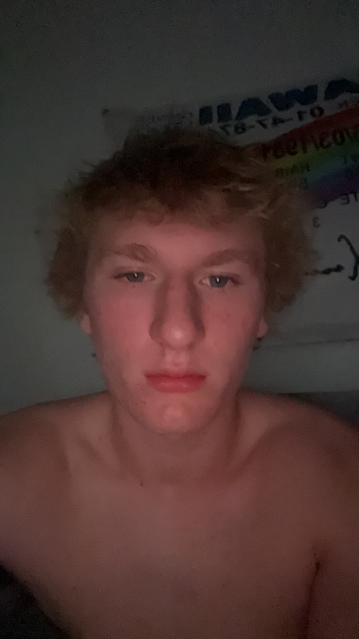 IMG 2385