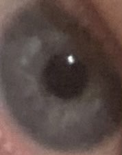 1730205383728