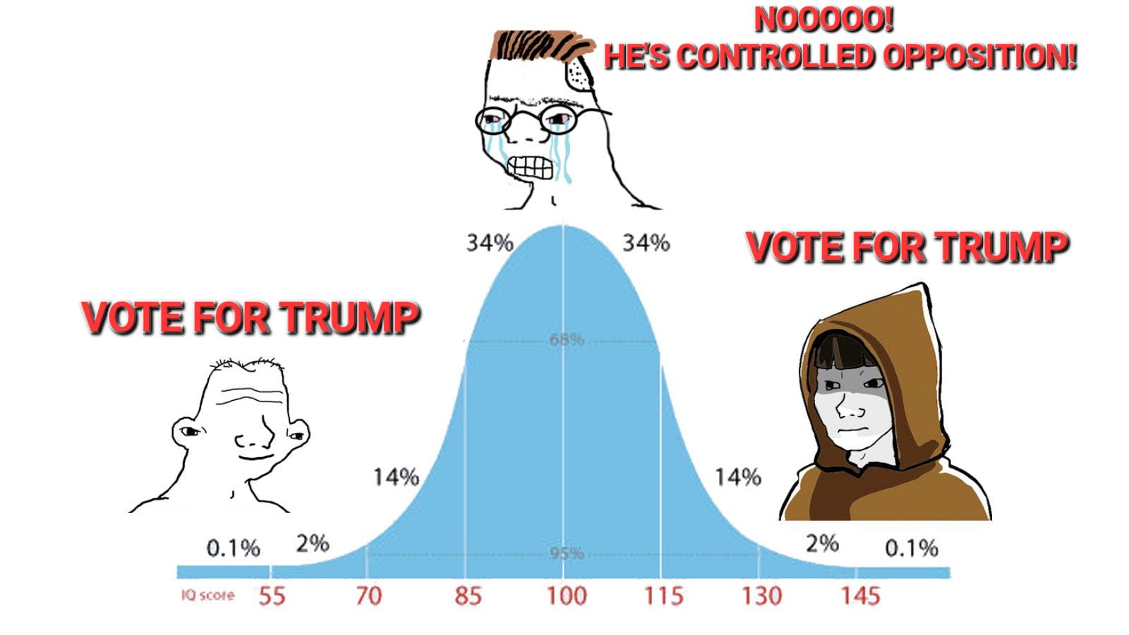 4485778 1730416648093