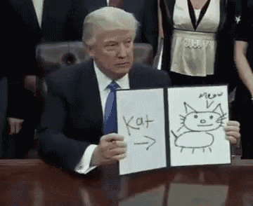 Cat trump