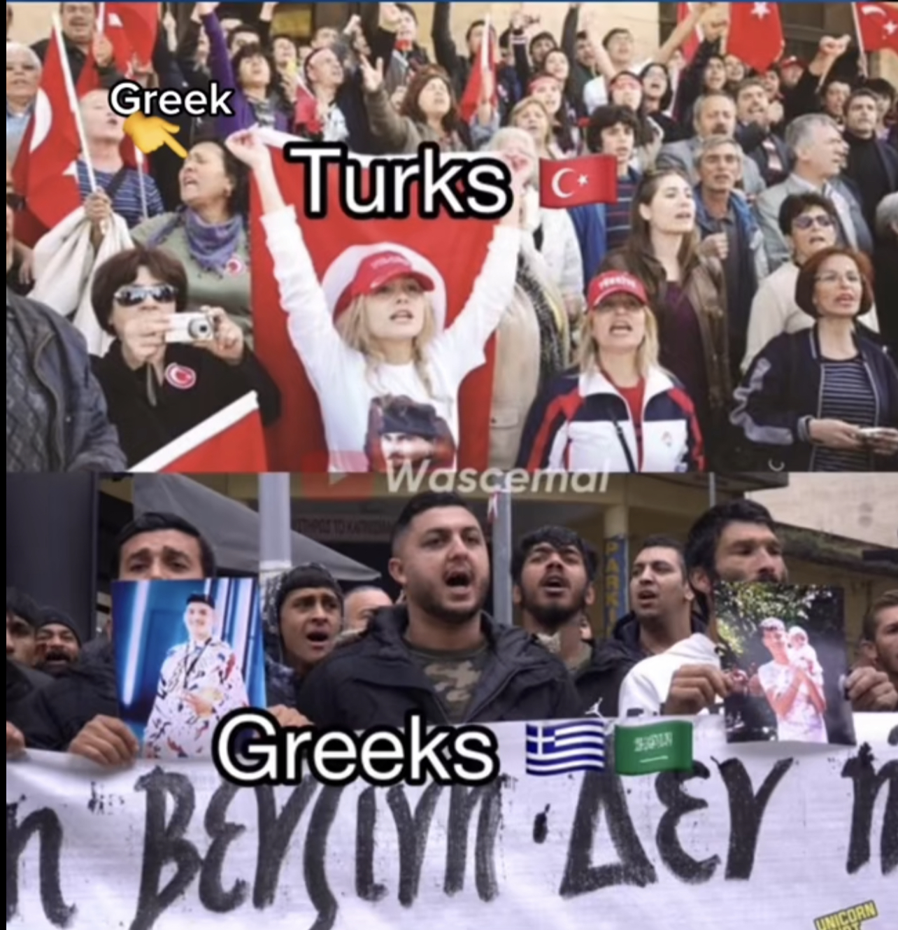 3741955 IMG 0041