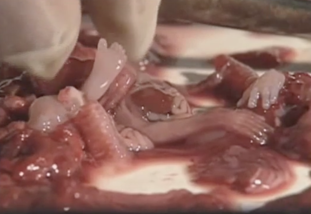 Screenshot 2024 11 06 at 104639 PM