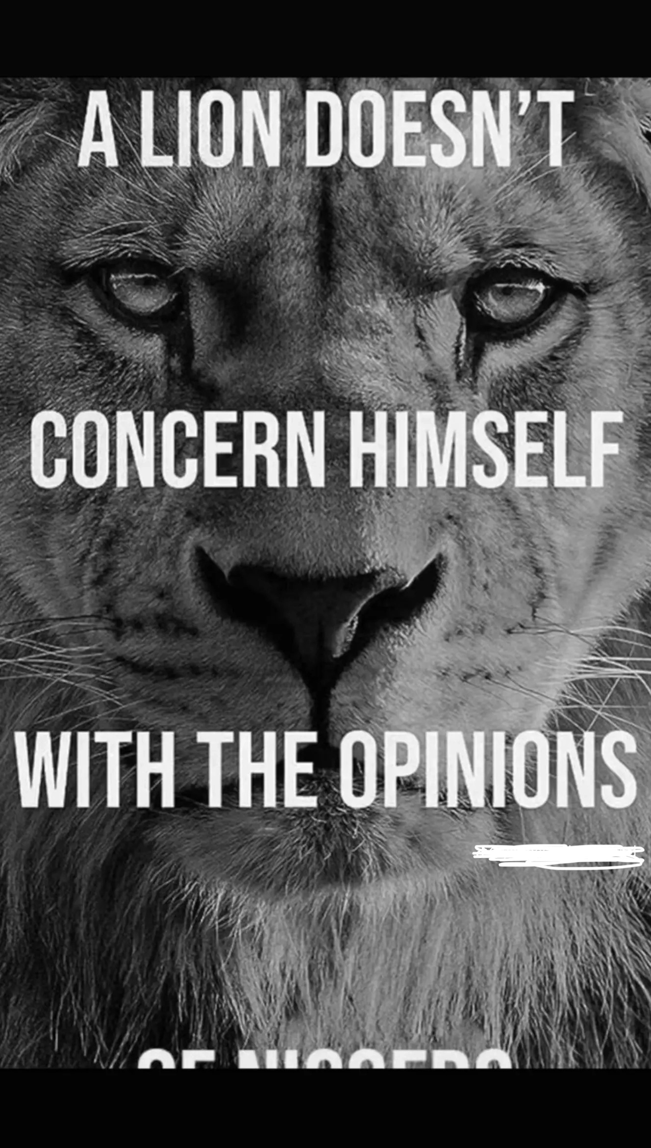 Temp image 804B2762 C081 48B6 BDA9 2366C8E9F2EA