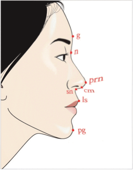 Ezgifcom animated gif maker 1