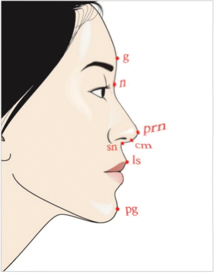 Asian2 Asian2
