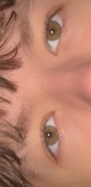 Screenshot 2024 11 08 143456