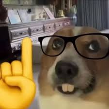 1731278672806