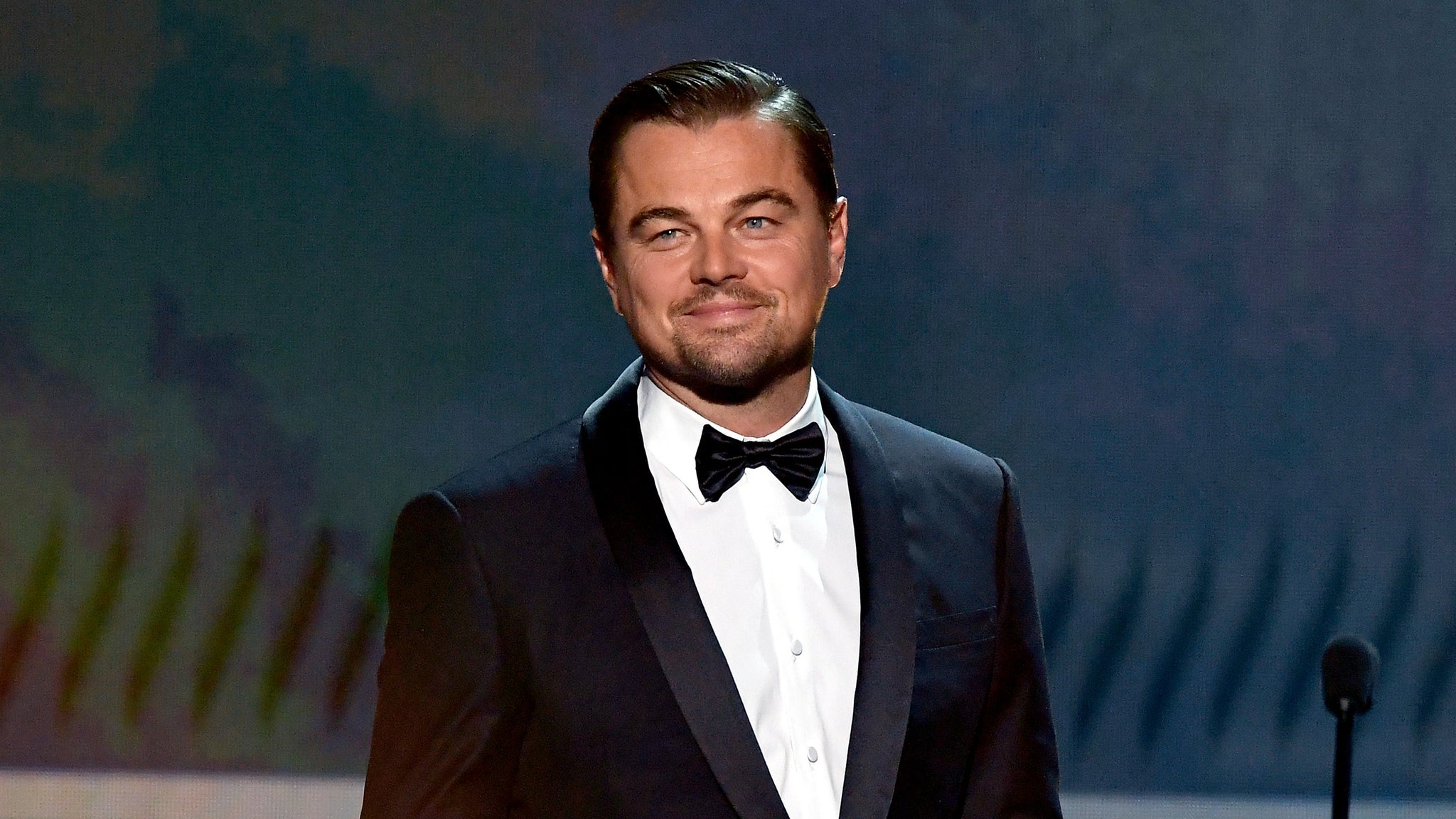 Leonardo DiCaprio headline image 2048x