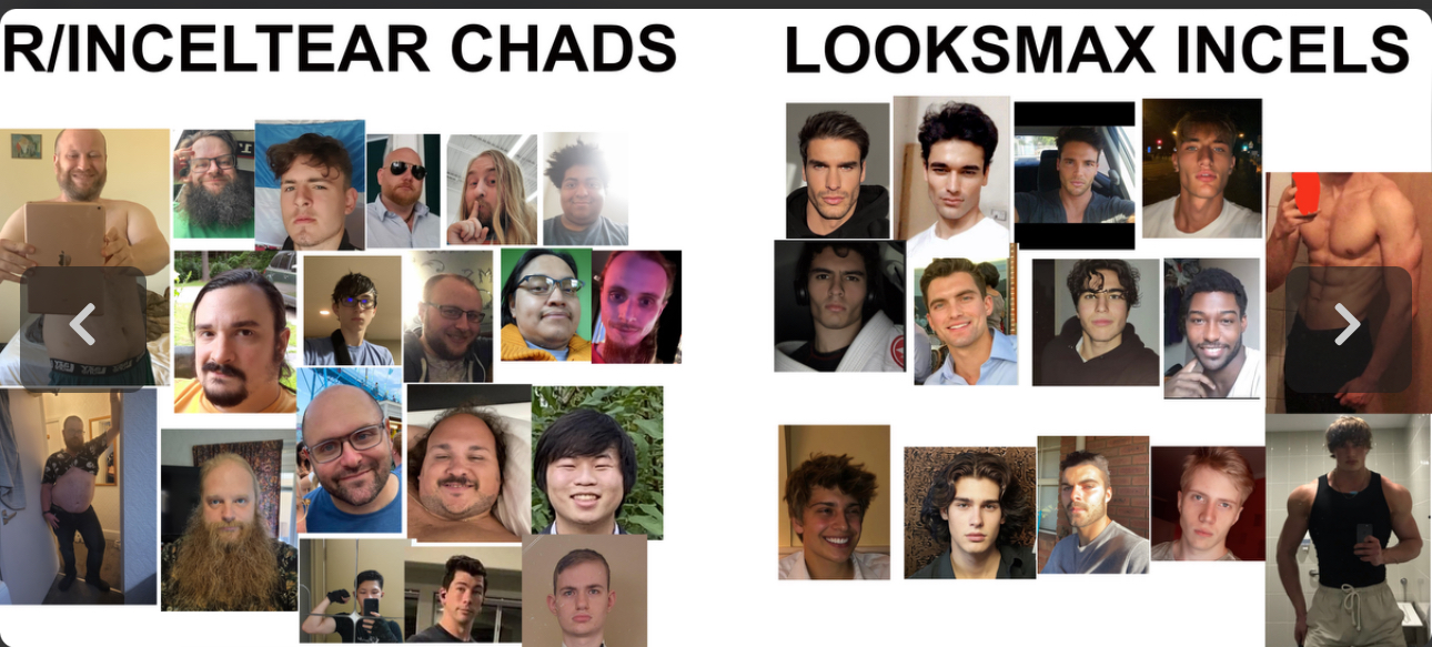 Inceltearvslooksmax