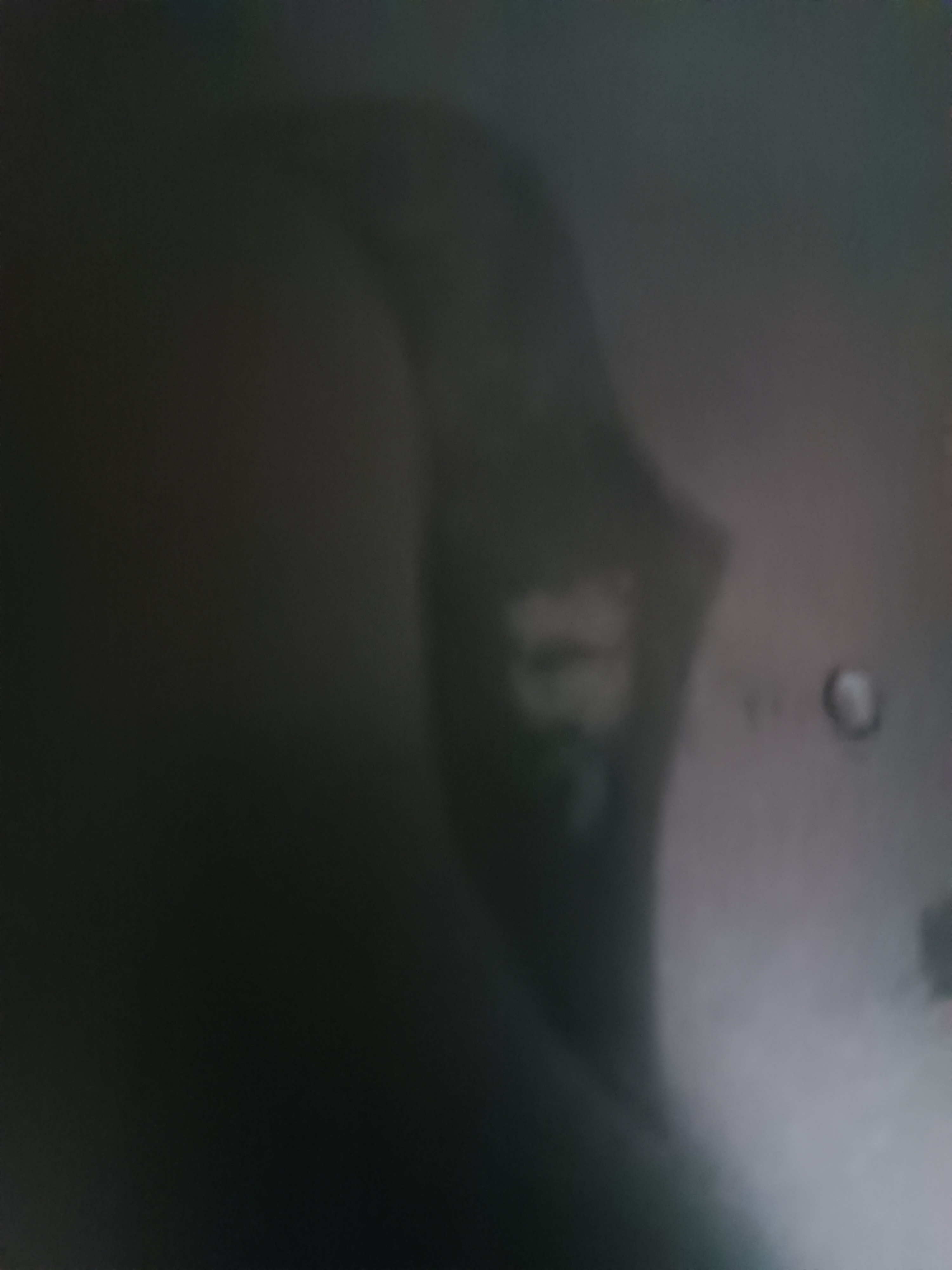 IMG 20241119 132439