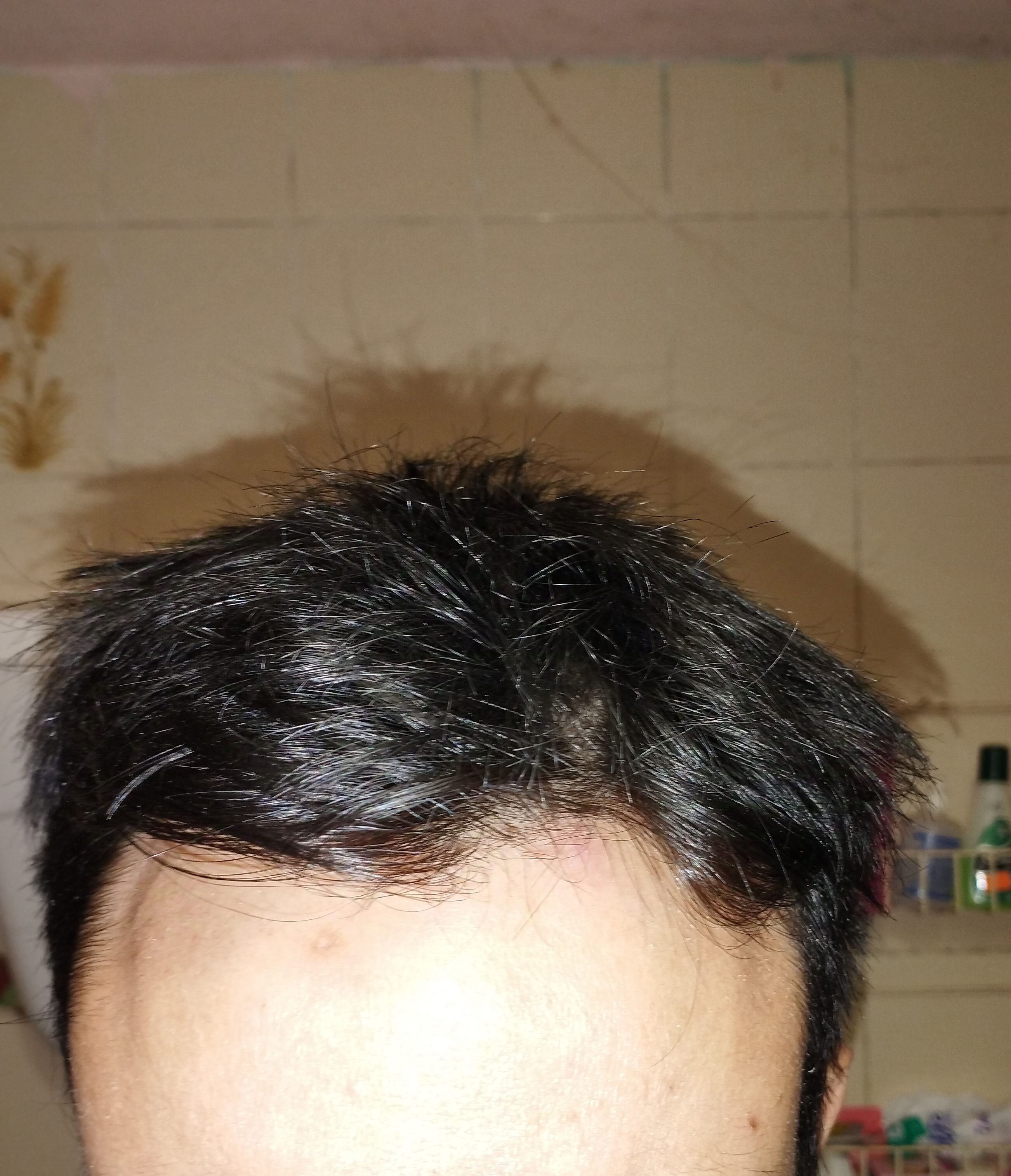 IMG 20241119 141819