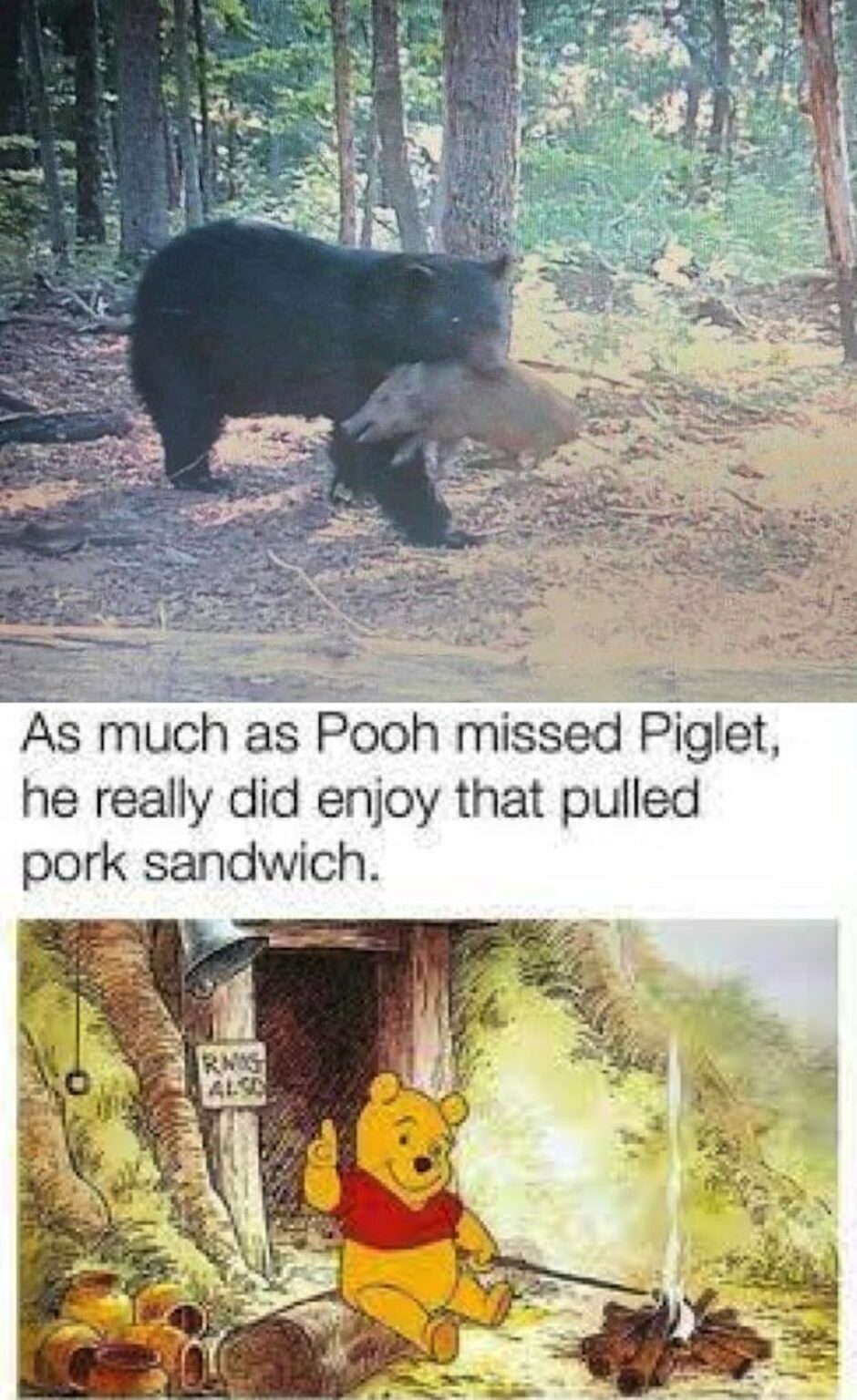 Pooh