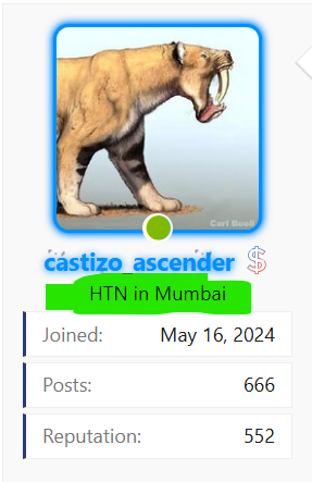 1732378019013