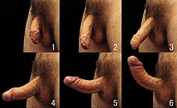 IMG 1092