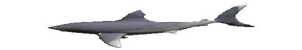 Image0 10