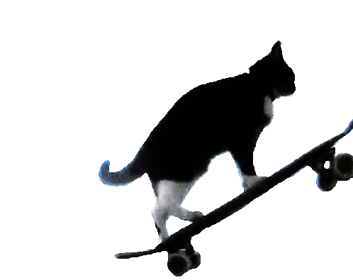 Get real cat