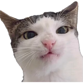 1732811170162