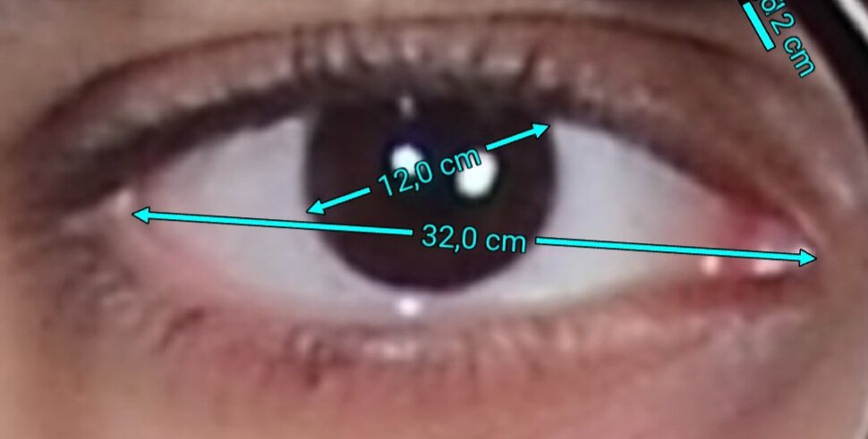 Screenshot_20241114_030656_ImageMeter.jpg