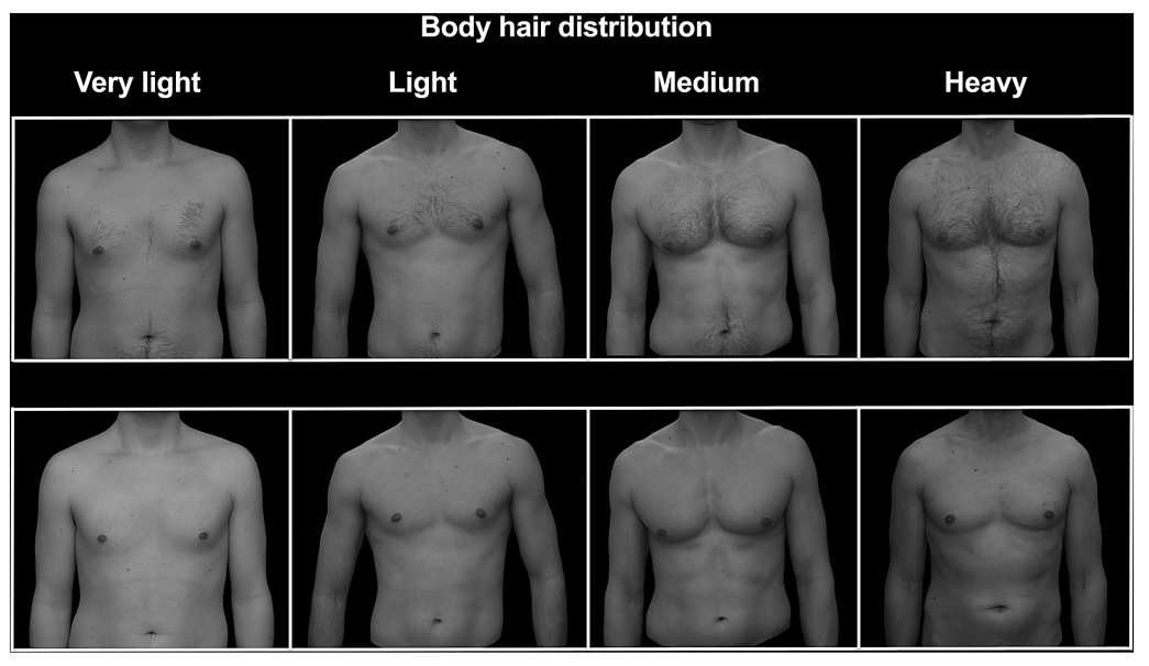 Screenshot from 2024 12 01 07 49 28