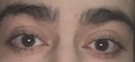 D43F5058 2ED8 42C8 9963 CB01077B6278