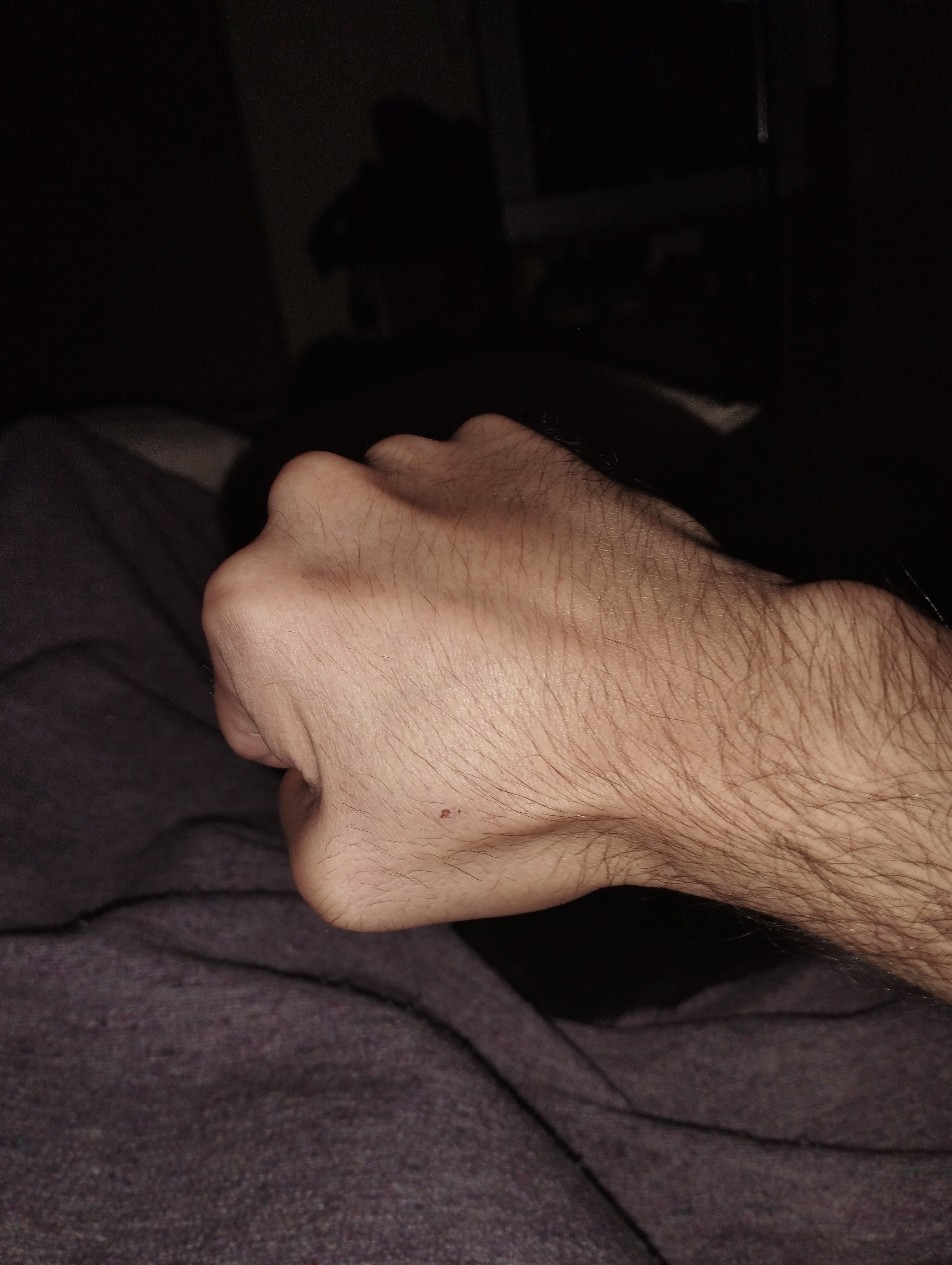 IMG 20241204 135239