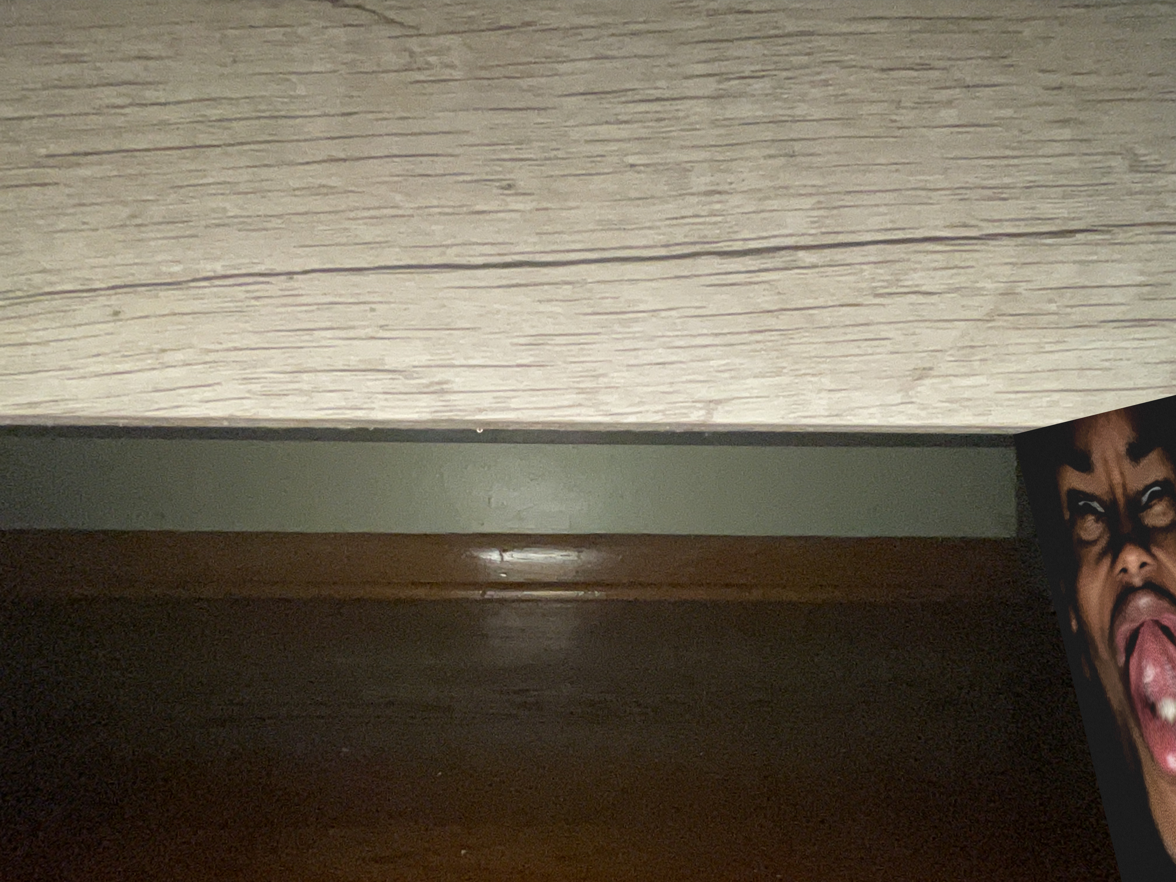 0EAD05EA C215 4671 B7A1 5CD392BDD2F0