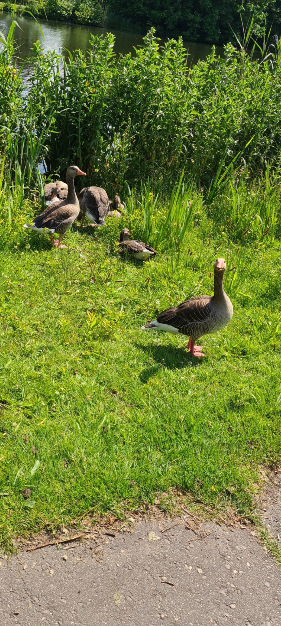 Screenshot 20241206 212641 Gallery