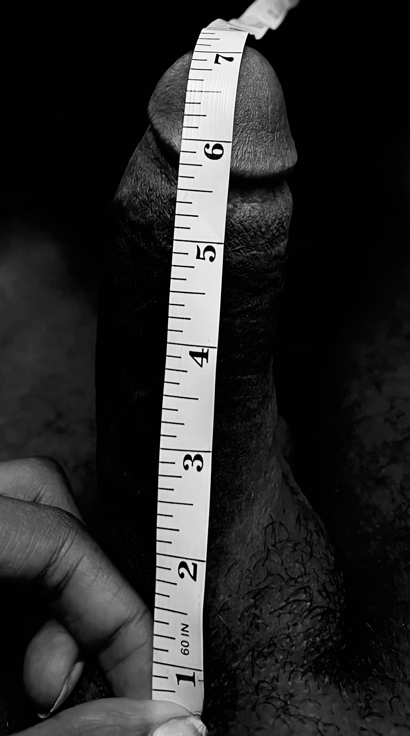 4324885 IMG 0120