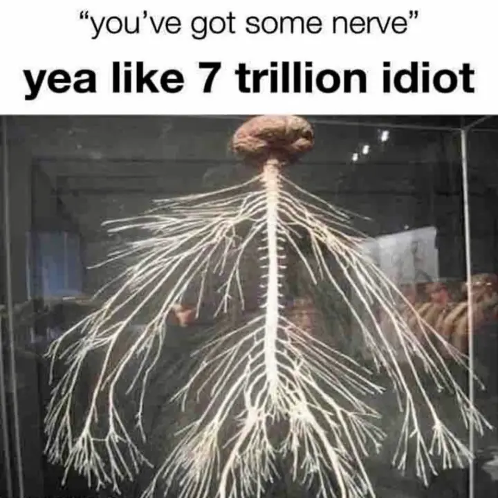 1733894026023