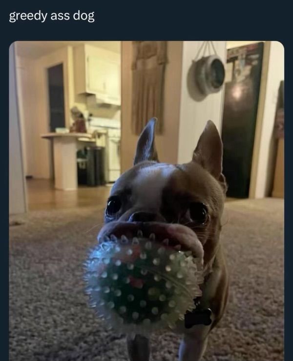 Ae331a83a8889bc36bd9ea9230ef3d5c