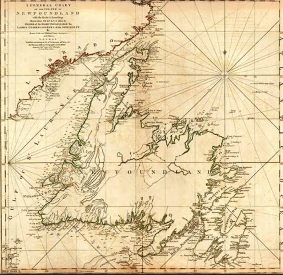 Screenshot 20241217 195517 Chrome