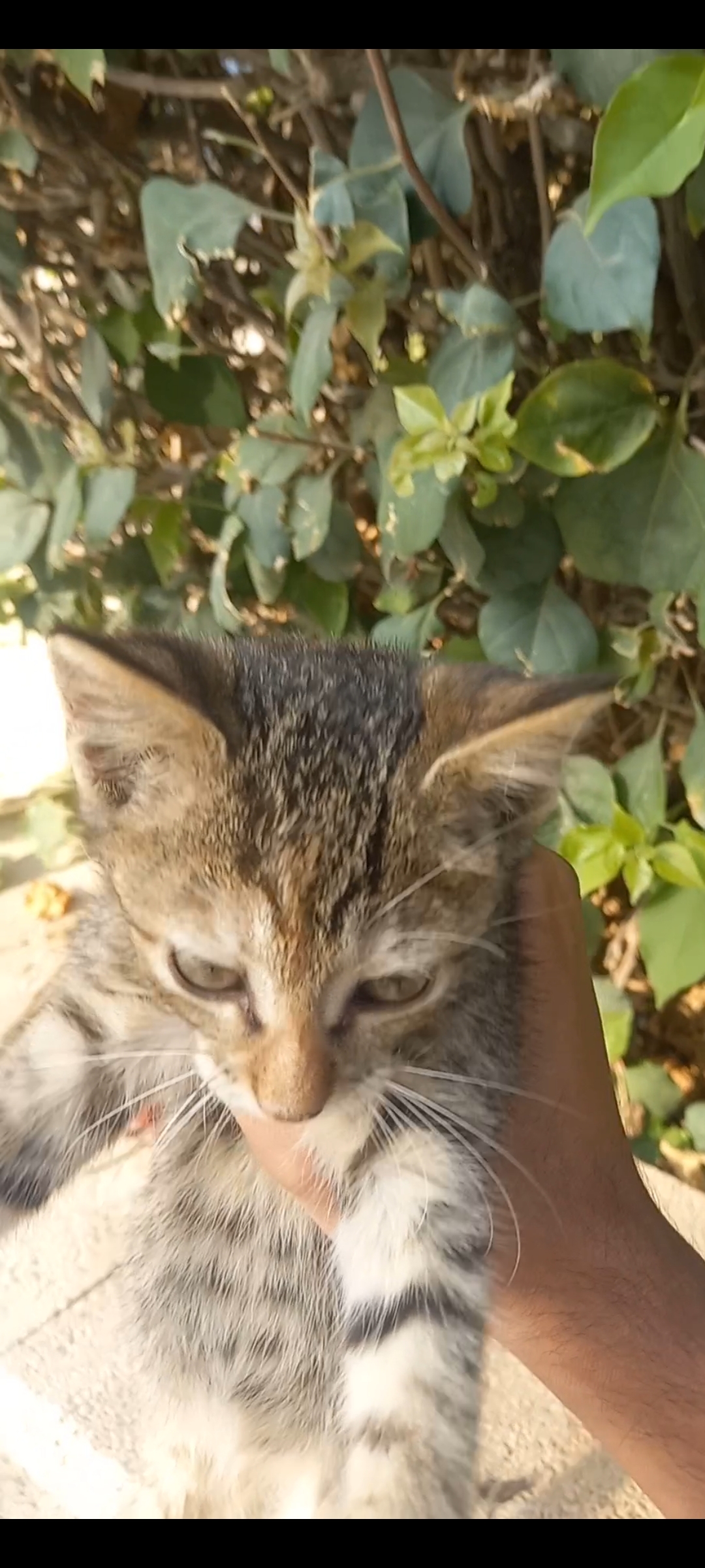 Screenshot 20241218 005831 Gallery